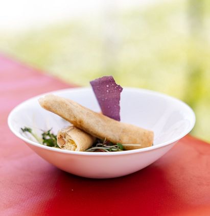 Ein weißer Teller mit zwei knusprigen, röhrenförmigen Snacks, die auf einem Bett aus grünen Kräutern liegen. Daneben ein violetter Chip auf einem roten Tisch.