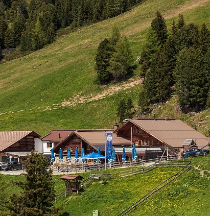 Eine malerische Berghütte in der Natur, umgeben von grünen Wiesen und Nadelbäumen. Die Terrasse ist mit blauen Sonnenschirmen ausgestattet, ideal für Ausblicke.
