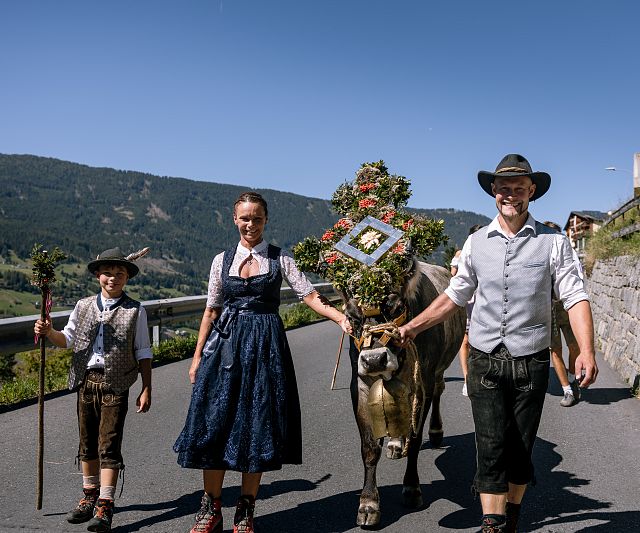 Geschmückte Kuh beim Almabtrieb in Jerzens