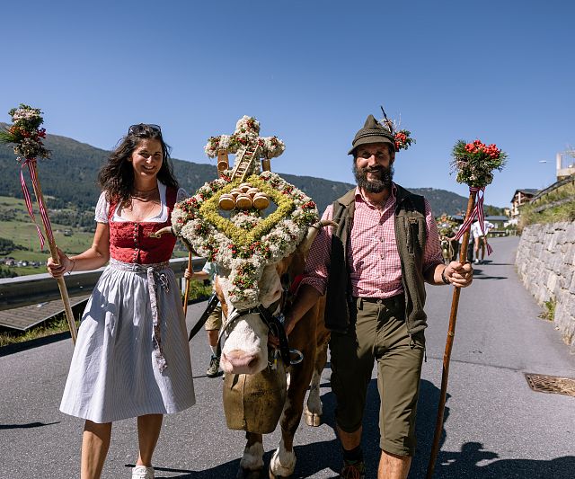 Geschmücktes Tier beim Almabtrieb in Jerzens