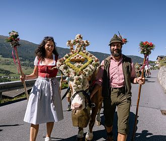 Geschmücktes Tier beim Almabtrieb in Jerzens