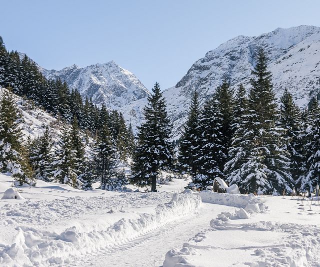 Der Winterwanderweg Innerpitztal ist eine Schneeschuh-Rundwanderung zwischen Weißwald und Mittelberg im Pitztal.