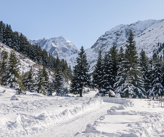 Der Winterwanderweg Innerpitztal ist eine Schneeschuh-Rundwanderung zwischen Weißwald und Mittelberg im Pitztal.