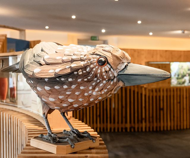 Die Ausstellung „Die Zirbe - Grenzgängerin mit Talenten“ entführt die Besucher in die faszinierende Welt der Zirbe. Vom Keimen bis zum Fallen, von der Jugend bis ins hohe Alter!