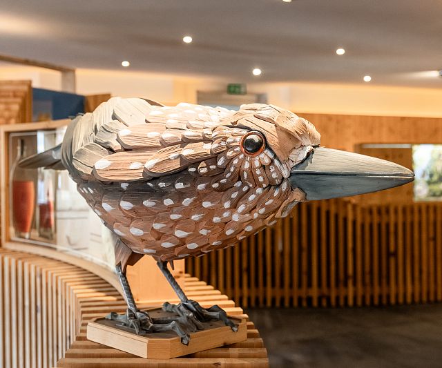 Die Ausstellung „Die Zirbe - Grenzgängerin mit Talenten“ entführt die Besucher in die faszinierende Welt der Zirbe. Vom Keimen bis zum Fallen, von der Jugend bis ins hohe Alter!