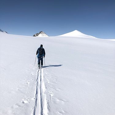 Skitour am Pitztaler Gletscher mit der Skischule-Wechselberger-Skitour