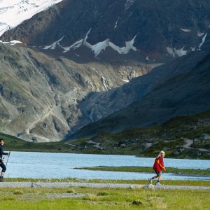 The Glacier Park - Home of the Alpine Ibex