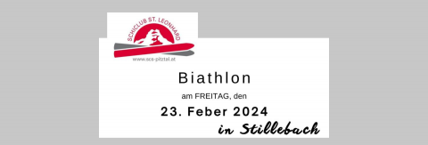 Biathlon in Stillebach